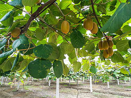 爱游戏官方首页基地展示三