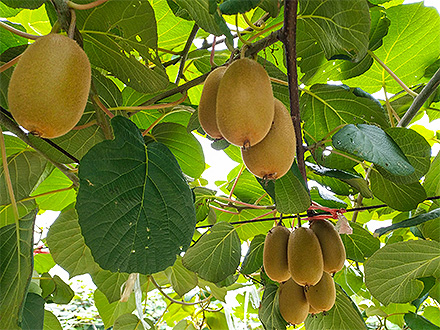 爱游戏官方首页基地展示四