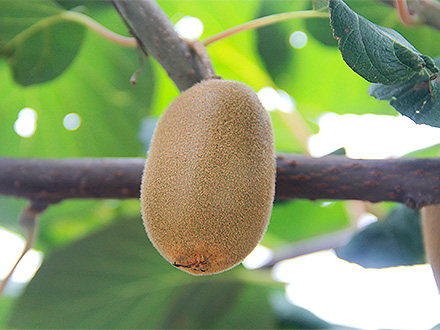 爱游戏官方首页基地展示二